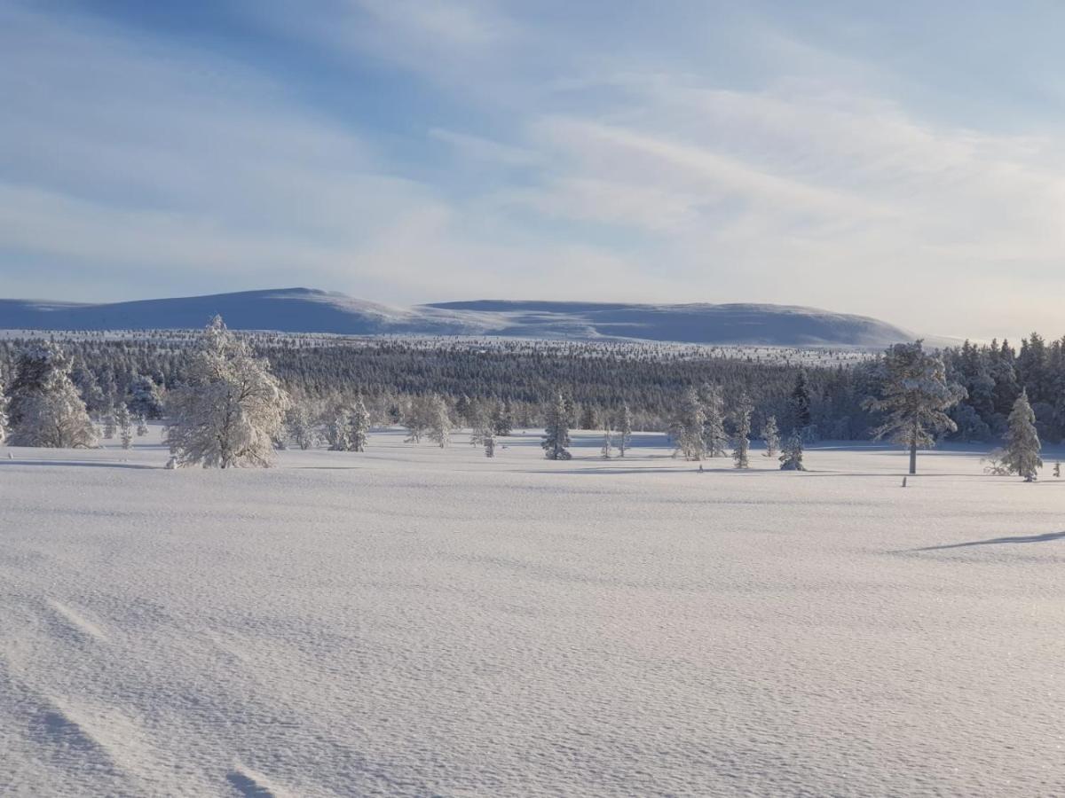 Arctic Lodge Hetan Kota Энонтекиё Экстерьер фото